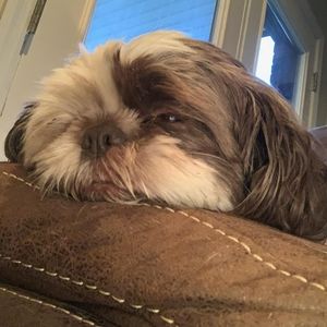 Meet your Posher, Jenni